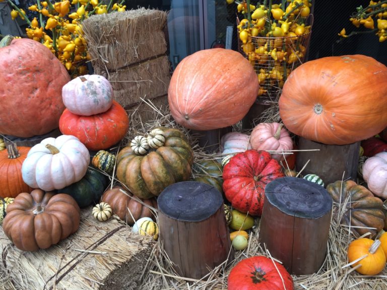 ハロウィンかぼちゃ　心を受け入れる